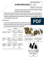 BATU EMPEDU PRIMER & Sekunder