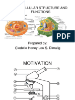 Cell Structure and Function