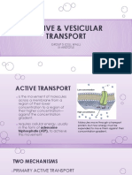 Active Vesicular Transport