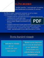 Teoria ingrijirii.ppt