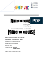 Proiect de Excursie