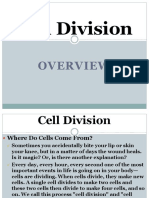 Cell Division and Cell Cycle