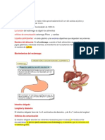 Taller 6 Naturales