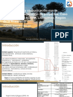 Caso de Estudio Cal Austral, Lonquimay