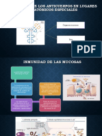 Funciones de Los Anticuerpos