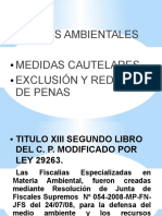 medidas_cautelares DE DELITOS AMBIENTALES.pdf