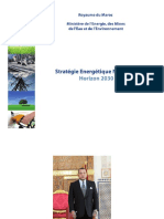 STRATEGIE-ENERGETIQUE-NATIONALE 2011.pdf