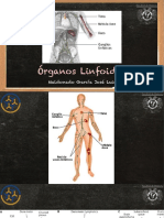 Órganos Linfoides y Células.pdf