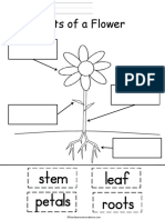 Parts of A Flower MBT PDF