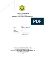Laporan Praktikum Biologi Umum Jaringan PDF