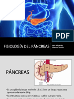 Fisiología Del Páncreas