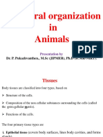 Structural Organisation in Animals - I