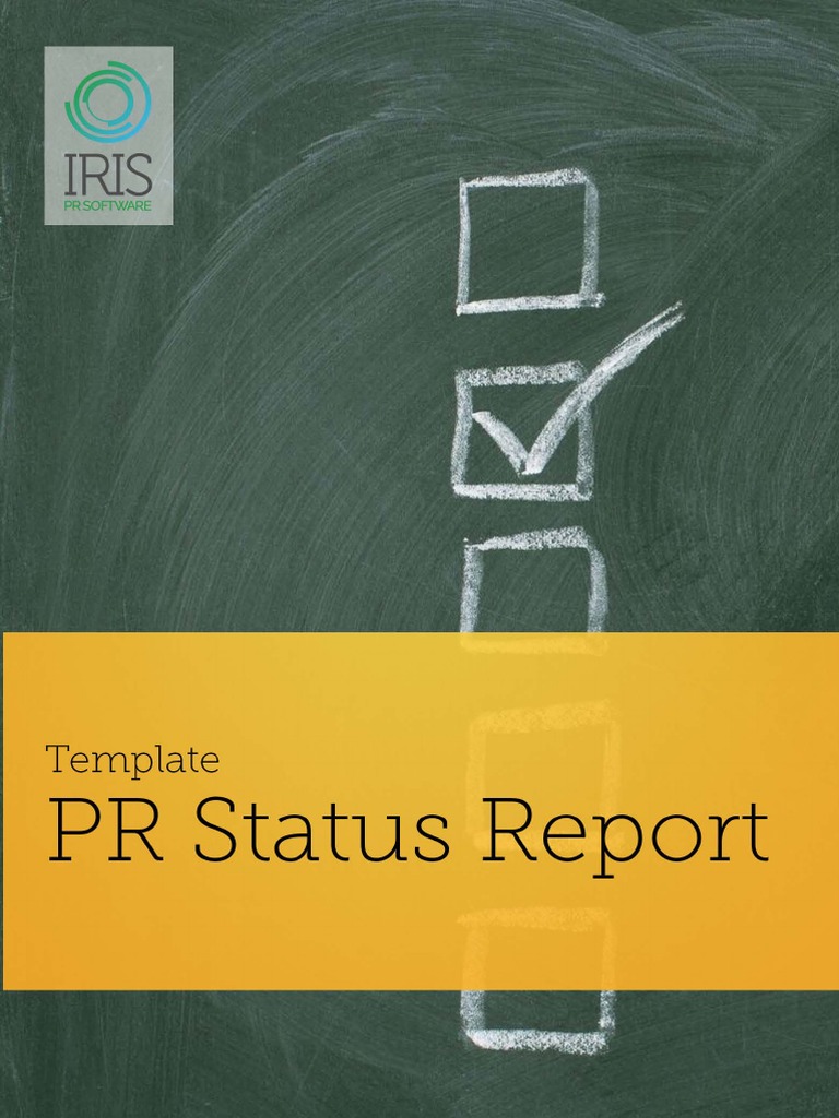 TEMPLATE - PR Status Report | PDF | Web Traffic | Mass Media
