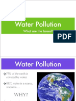 Water Pollution: What Are The Issues?