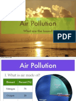 Air Pollution: What Are The Issues?