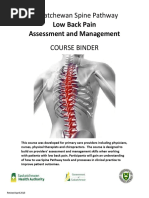 Comprehensive Lumbar Spine Examination Guide | PDF | Anatomical Terms ...