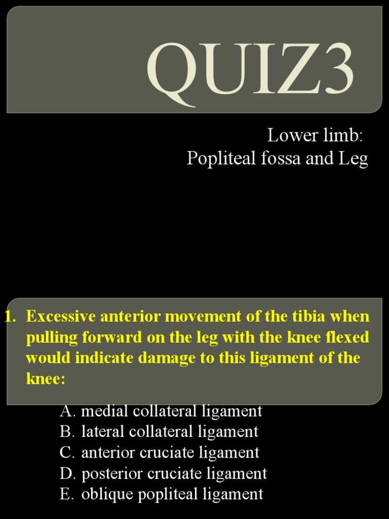 Quiz3: Lower Limb: Popliteal Fossa and Leg | PDF