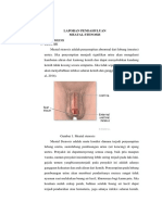 Stenosis Uretra