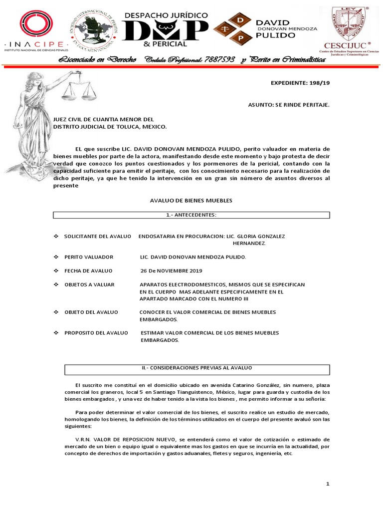 Avaluo Bienes Muebles | PDF | Testigo experto | Instituciones sociales