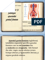 6 PPT Ap. Genital Feminin