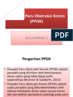 Ppok