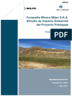 Estudio Impacto Ambiental Pukacaca PDF