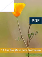 photonaturalist-13tips-wildflowers.pdf