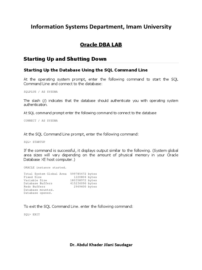 Oracle Database Startup and Shutdown Guide | PDF | Port (Computer ...