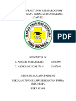 IDENTIFIKASI SIMPLISIA