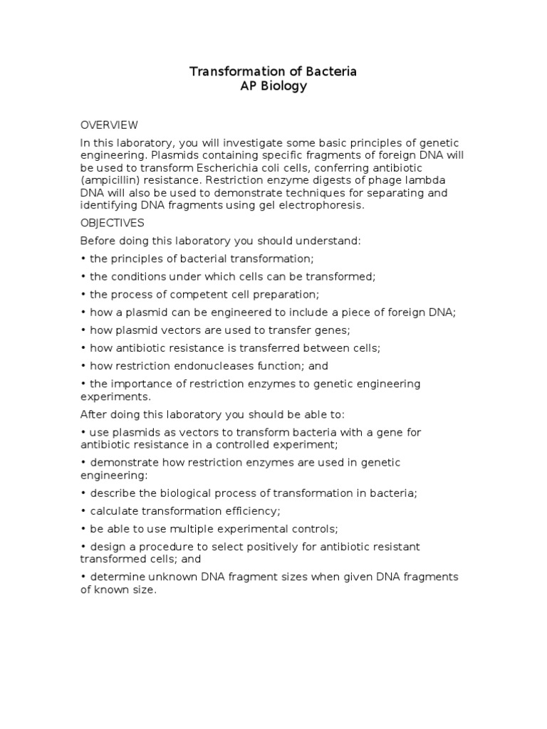 Bacterial Transformation Lab (6a) PDF Plasmid Transformation