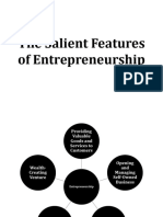 The Salient Features and Theories On Entrepreneurship