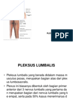 KP - 26 Dr. Ade Sinaga Anatomi Pleksus Lumbalis, Sacralis, Coxygeus, Dermatome