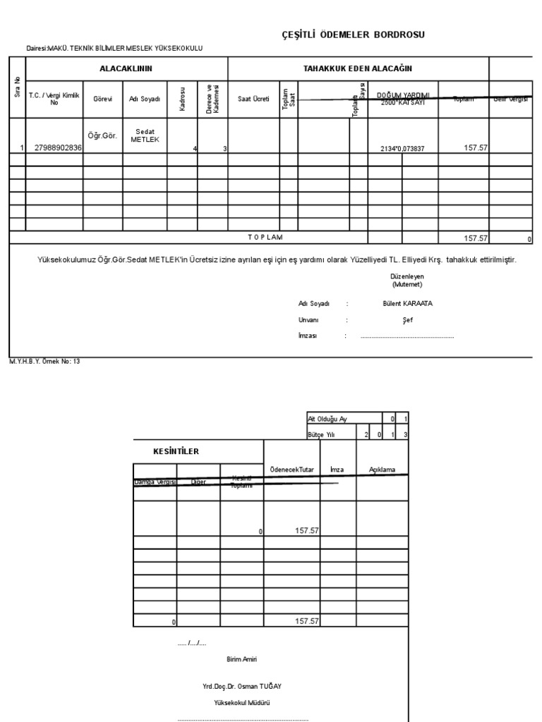 Cesi Tli Odemeler Bordrosu Pdf