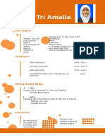 Contoh Template CV Kreatif 2