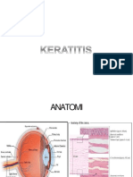 Keratitis PPX