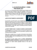 Qué Son Los Microsueños y Cómo Prevenirlos PDF