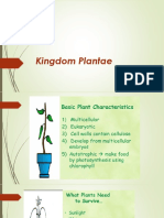 Plant Kingdom (1).pptx