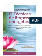 12 Técnicas de Limpeza Energetica (1).pdf