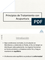 66 Principios de Tratamiento Con Acupuntura 2013