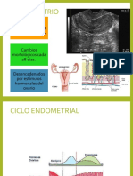 Cicloendometrial