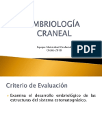Clase 2 Embriologia Craneal