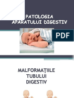 Patologia Sist Digestiv