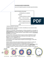 Resumo Completo de Emrbiologia