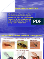 10OtrosNematoceros.ppt