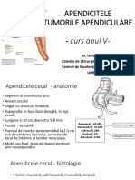 5. Apendicitele tumorile  apendiculare.pptx