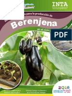 Recomendaciones Produccion Berenjena 2018