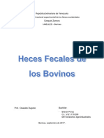 Heces Fecales Bovinos