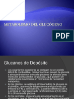 5-MetabolismodelGlucogeno.pdf