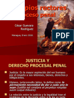 01-Principios Rectores Proceso Penal.ppt