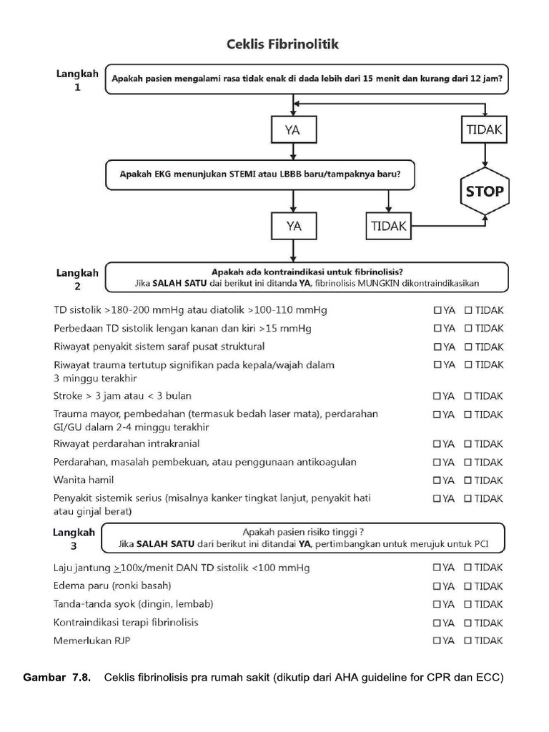 Fibrinolytic Checklist Your Time Saving Guide - a5ozjg0